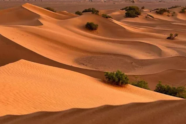 Chegaga & Vallée Du Draa : Traversée En Méharée Depuis M'Hamid