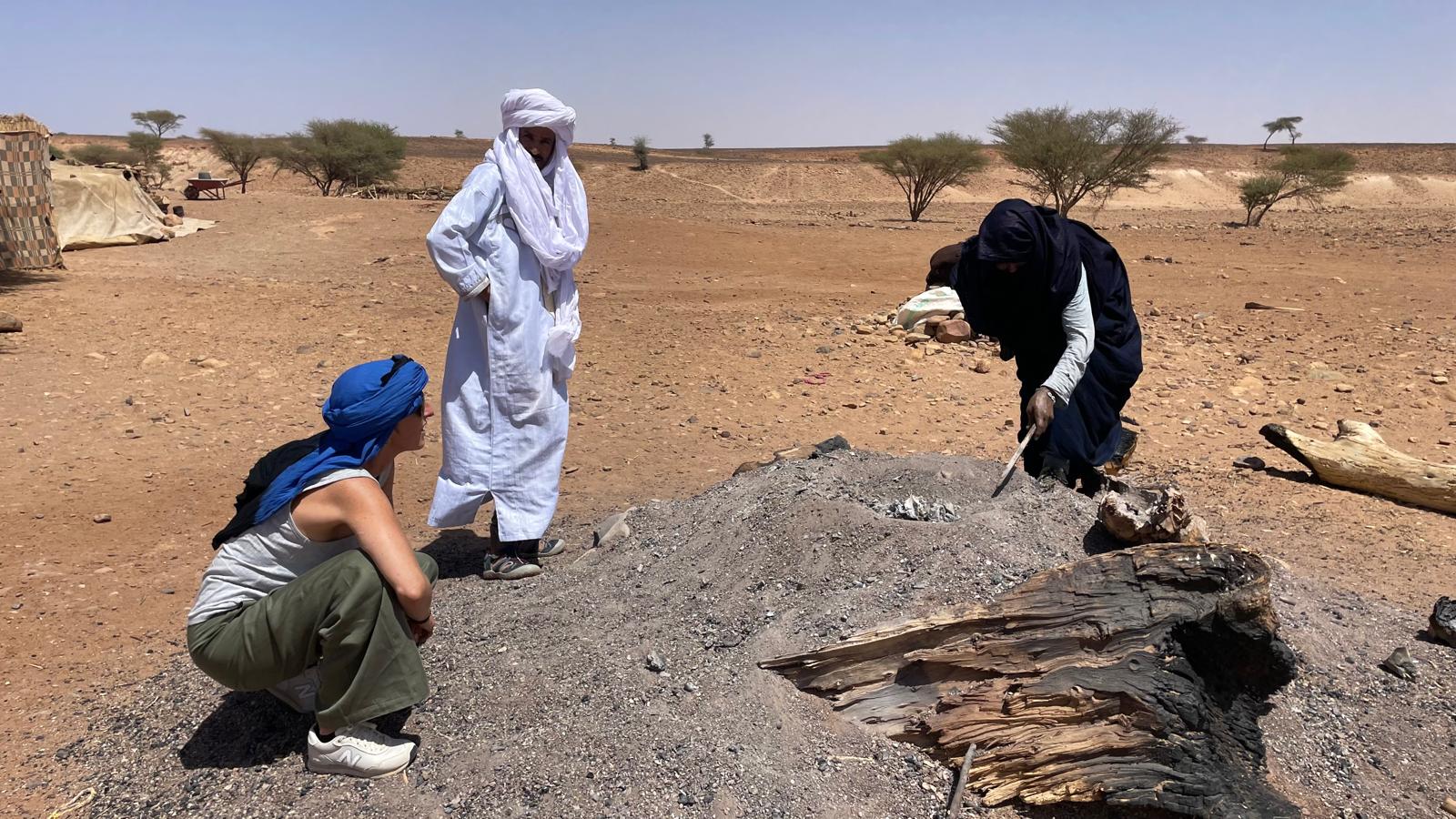 Discover the Desert Sahara tour