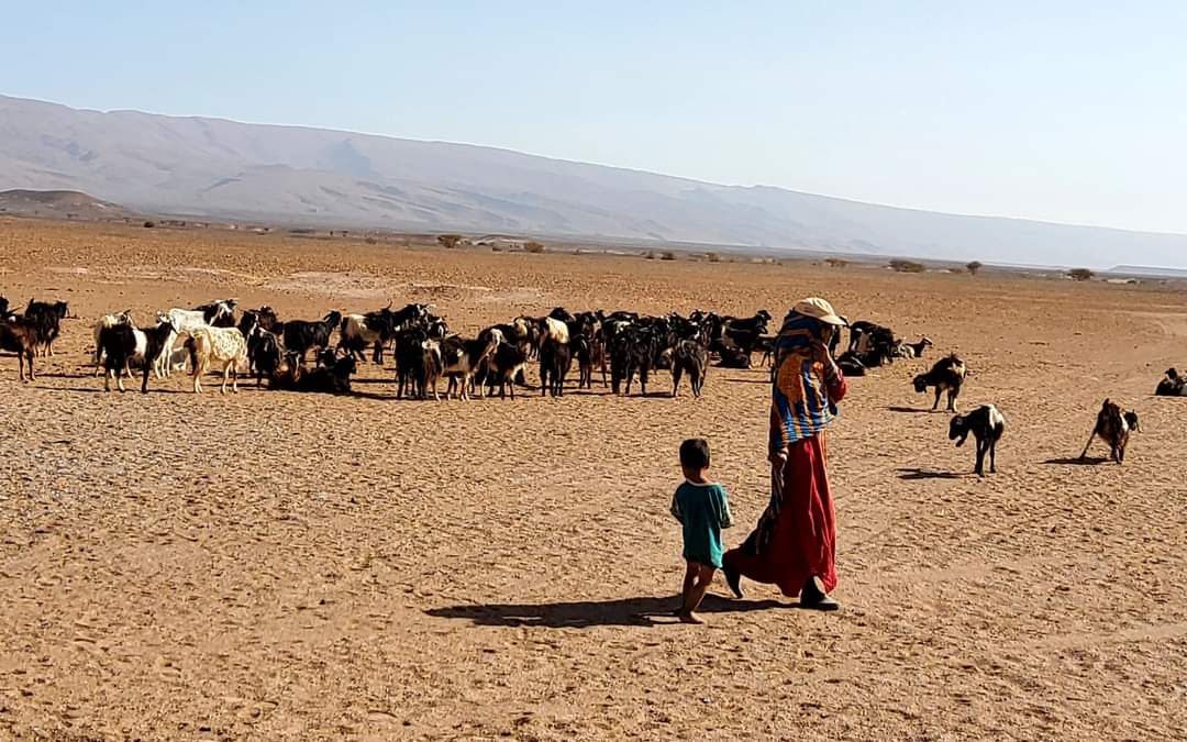 Photo 6 from the 4-Day Marrakech to Merzouga Desert Tour