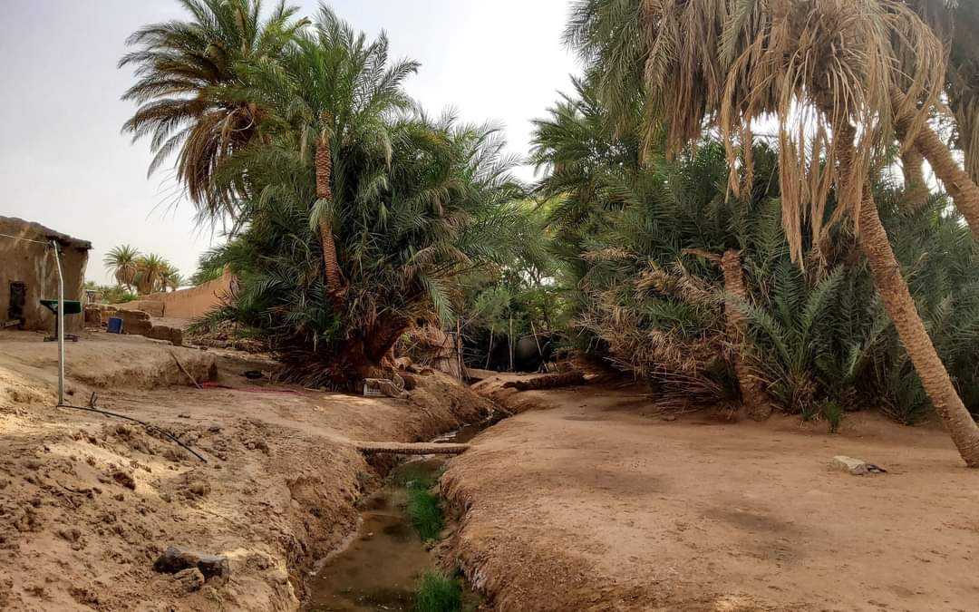 Palm oasis with a small water channel running through the desert settlement