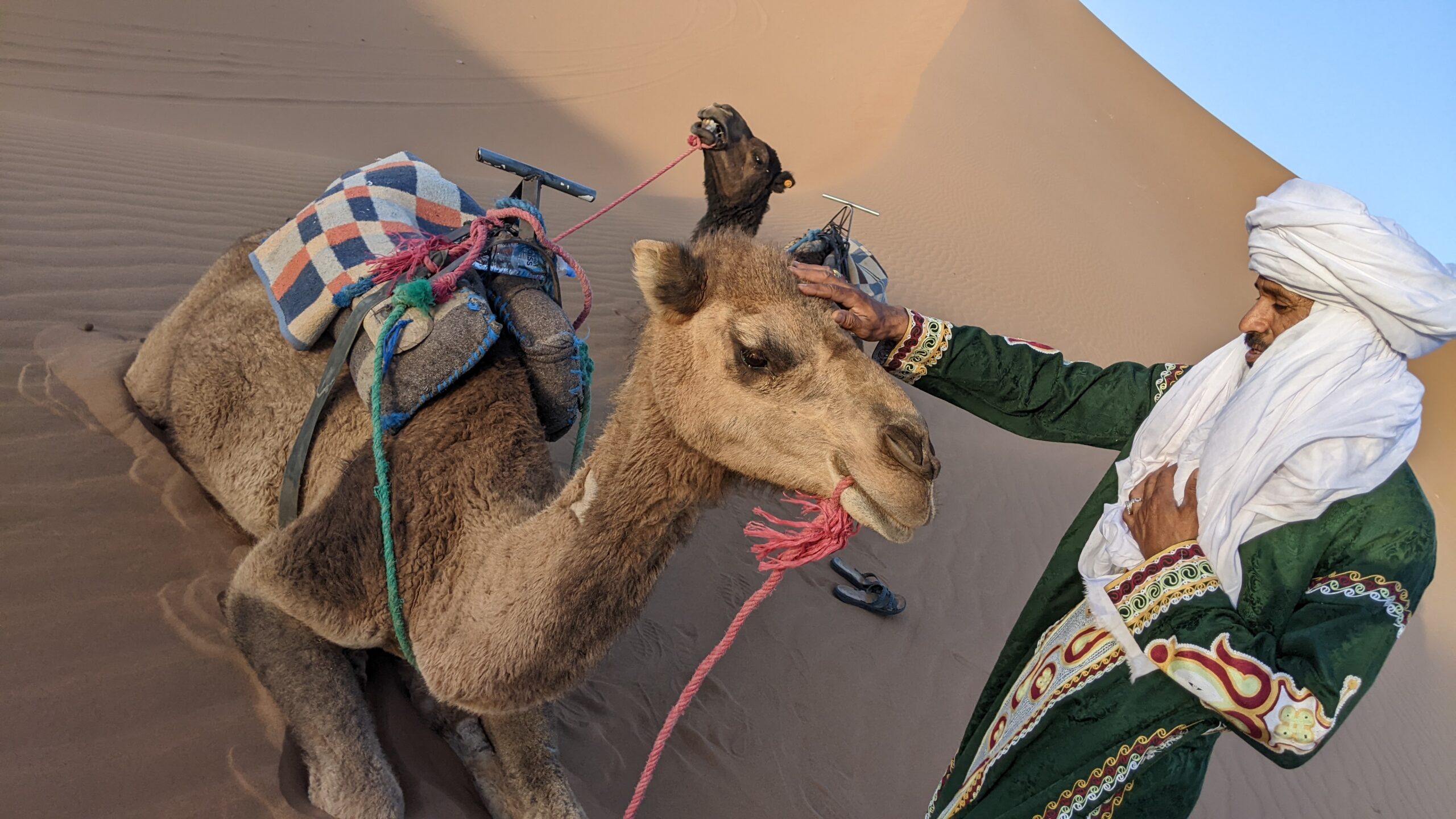 Desert guide beside a camel on a sand dune
