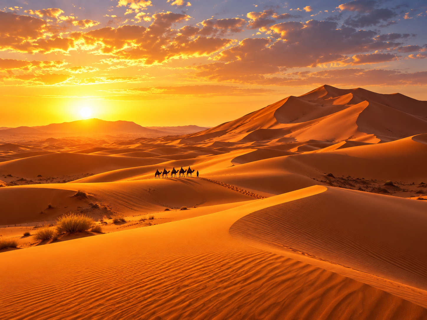 Morocco Desert Tours from Marrakech: Complete Sahara Guide