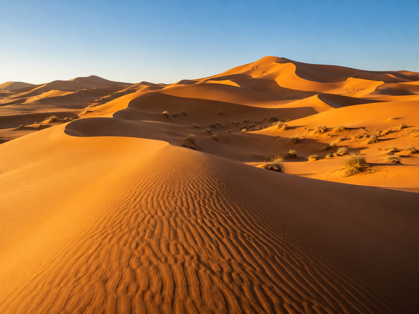 Best Time to Visit the Sahara Desert in Morocco