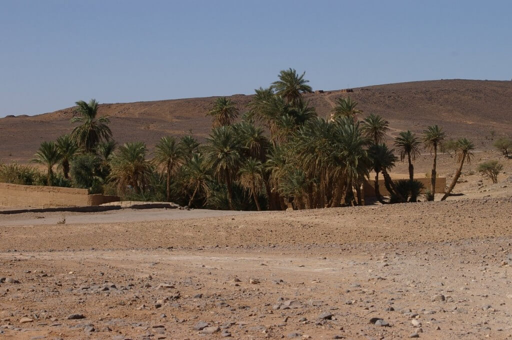 Ouarzazate to M'Hamid desert tour